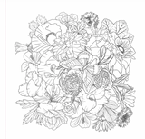 Wildflowers Colouring Book