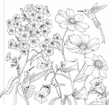 Wildflowers Colouring Book