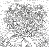 Wildflowers Colouring Book