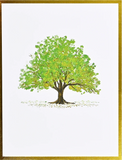 Boxed Premium Notecards - Watercolour Trees