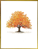 Boxed Premium Notecards - Watercolour Trees