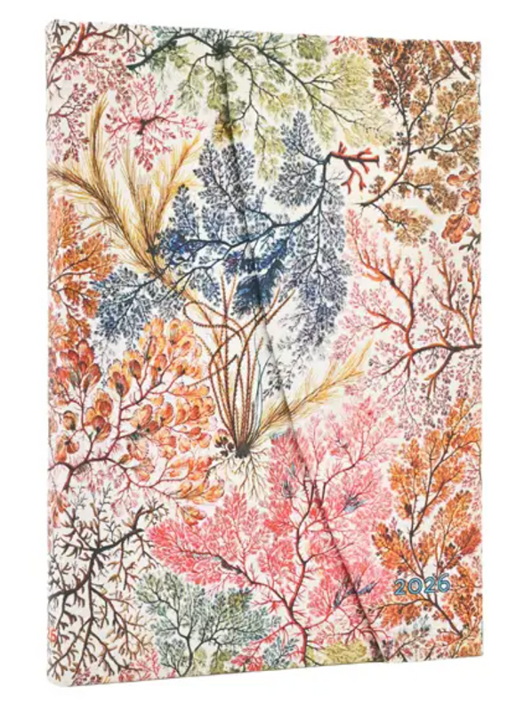 2026 Midi Weekly Planner - Anemone