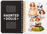 Haunted Dolls Sticker Book