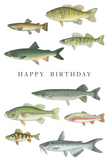 Birthday - Fish