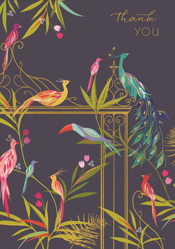 Thank You - Variety of Birds