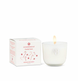 Aromabotanical Candle - Candy Cane