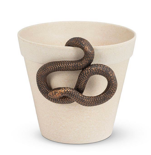 Hanging Garden Snake