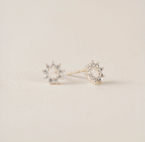 Lover's Tempo Halo Mini Stud Earrings: Silver
