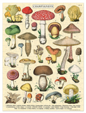 Vintage Mini 240 Piece Puzzle - Mushrooms