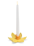 Daffodil Taper Holder
