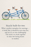 Anniversary - A Bicycle Built for Two