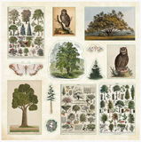 Enchanted Forest Sticker Book