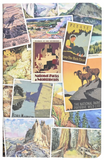 National Parks Jotter Set/3 Notebooks