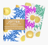 Daisies Jotter Set/3 Notebooks
