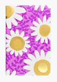 Daisies Jotter Set/3 Notebooks