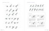 A Beginner's Guide to Modern Calligraphy & Brush Pen Lettering