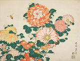 Hokusai Small Boxed Notecards