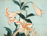 Hokusai Small Boxed Notecards