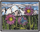 Molly Hashimoto Wildflowers Boxed Notecards
