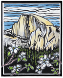 Molly Hashimoto Wildflowers Boxed Notecards