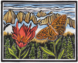 Molly Hashimoto Wildflowers Boxed Notecards