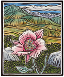 Molly Hashimoto Wildflowers Boxed Notecards