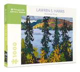 1000 pc Puzzle - Montreal River