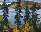 1000 pc Puzzle - Montreal River