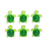 Baby Turtle Magnets