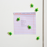 Baby Turtle Magnets