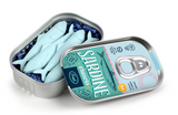 Sardine Eraser - Tin of 4