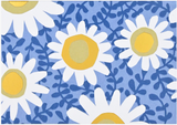 Boxed Notecards - Daisies