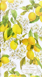 2027-28 Two Year Pocket Planner - Amalfi Lemons