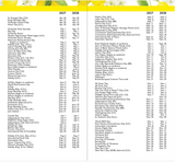 2027-28 Two Year Pocket Planner - Amalfi Lemons