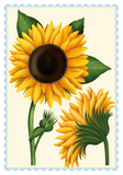 Boxed Notes - Stamp Collection
