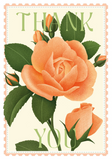 Boxed Notes - Stamp Collection