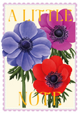 Boxed Notes - Stamp Collection