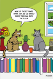 Birthday - Cat Spark Joy