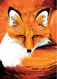 Artists to Watch Boxed Notes - Animals