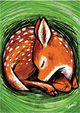 Artists to Watch Boxed Notes - Animals