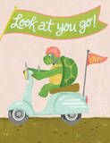 Graduation - Speedy Turtle