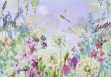 Boxed Notecards - Dragonflies & Dandelions