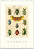 2027 Wall Calendar - Entomology