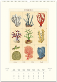 2027 Wall Calendar - Sea Life
