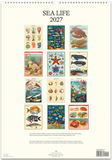 2027 Wall Calendar - Sea Life
