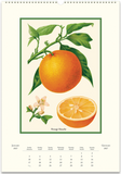 2027 Wall Calendar - Farmer's Market