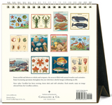 2027 Desk Calendar - Sea Life
