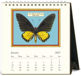 2027 Desk Calendar - Butterflies