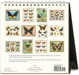 2027 Desk Calendar - Butterflies