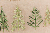 Embroidered & Beaded Trees Pillow
